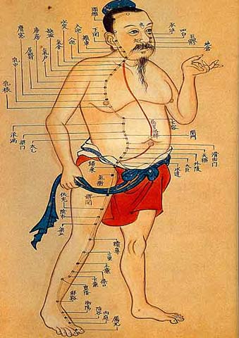 Der Magenmeridian und seine Akupunkturpunkte
